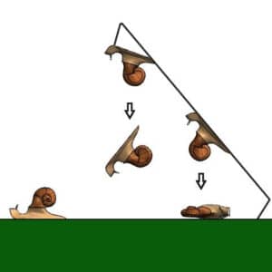 Hochbeet Glück Tipps für den optimalen Schneckenschutz 11 HochBeet HighBeet Schnecken Schutz 1