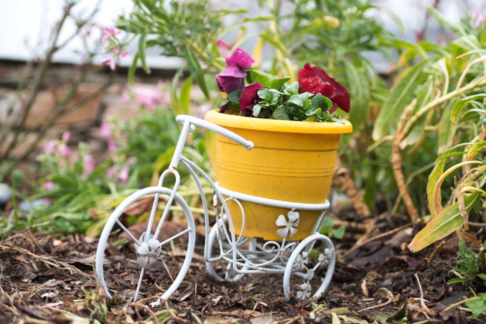 Tipps für die perfekte Gartengestaltung: Planen, Pflanzen, Pflegen 2 a small white bicycle with a yellow pot with flowers in it