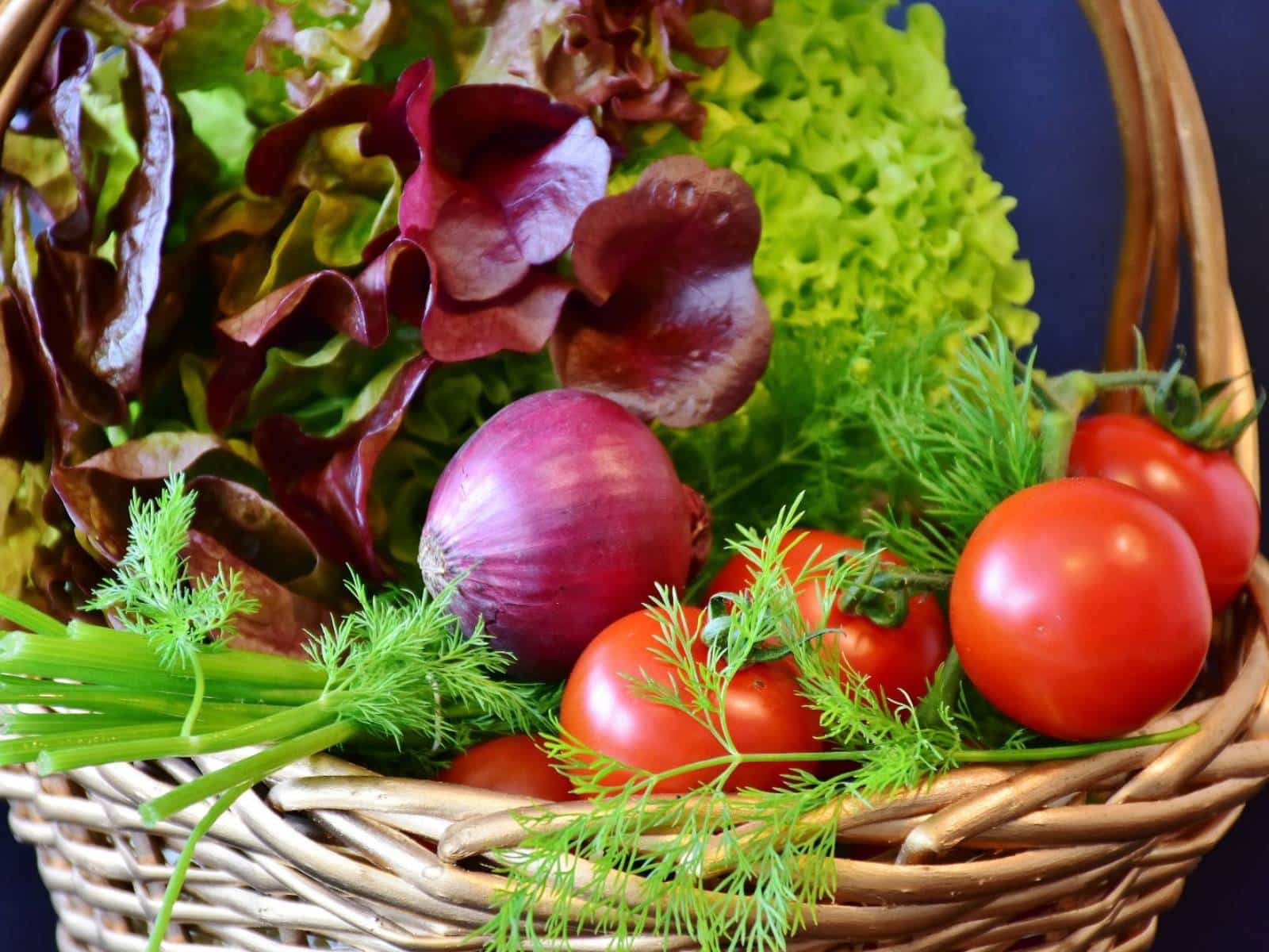 Gesünder leben und verdienen: Tipps für den Gemüseanbau im eigenen Garten 4 a basket of vegetables