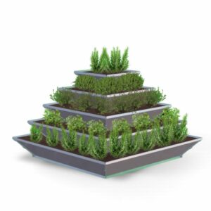 VKFHTM00027 Cleo 5 Ebenen Gewuerzde