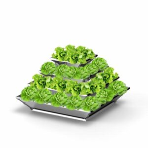 Hochbeet "HighBeet Cleo" 4 Ebenen 2 VKFHTM00048 Cleo 4 Ebenen Gemuese