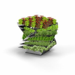 VKFHTM00049 Twist toll 6 Ebenen gewuerze