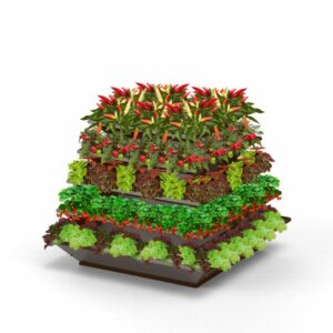 VKFHTM00056 Rock X tra 5 Ebenen Edelrost Gemuese