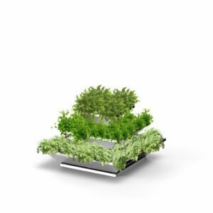 Hochbeet "HighBeet Cleo" 3 Ebenen 3 VKFHTM00063 Cleo 3 Ebenen Gewuerze