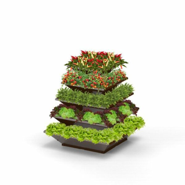 Der Hochbeet „HighBeet Rock“ 5-Ebenen-Pflanzkasten schmückt den Balkon mit einem lebendigen vertikalen Garten mit grünen und roten Blattpflanzen, kleinen blühenden Sorten und vielfältiger Vegetation, die in dreieckigen Ebenen vor einem schlichten weißen Hintergrund angeordnet ist.