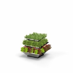 Hochbeet "HighBeet Rock" Mini 3 VKFHTM00071 Rock Mini 3 Ebenen Gewuerze