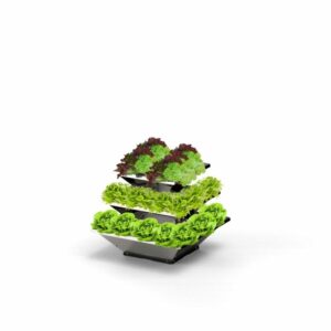 Hochbeet "HighBeet Rock" Mini